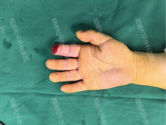 1740818120666776.png image.png