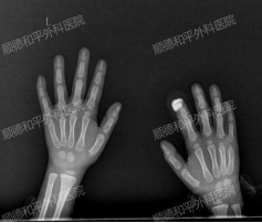 1740818126229852.png image.png