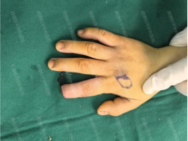 1740818132432210.png image.png