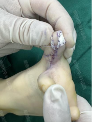 1740818142941415.png image.png