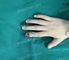 1740818182942649.png image.png