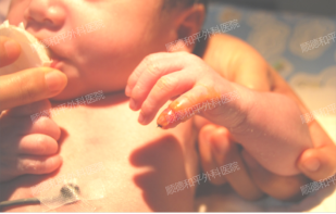 1740818200669431.png image.png